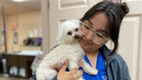 Ohana pet hospital - Ohana Pet Hospital in Ventura will be closed tomorrow, December 7th, due to unforeseen circumstances related to COVID-19. We will contact you to reschedule your Monday appointment. If you need to be...